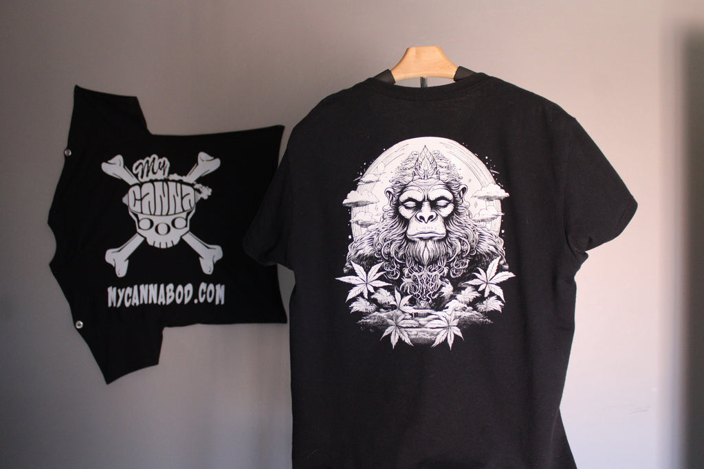 Ancient Wisdom image 3