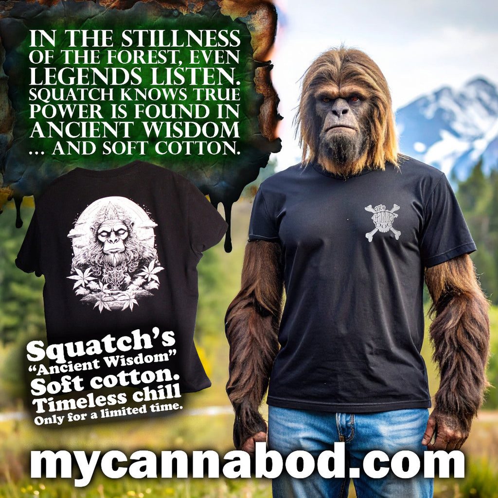 Ancient Wisdom image 4