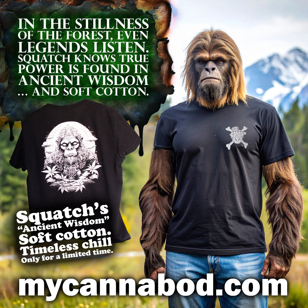 Ancient Wisdom image 4